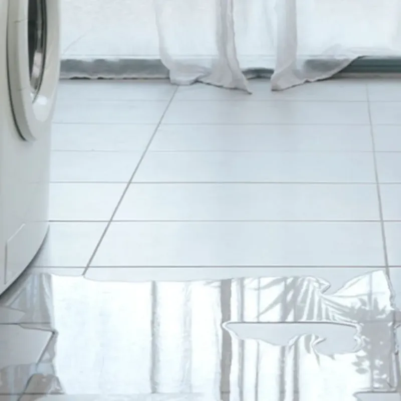 Appliance Leak Cleanup in Linn County, IA