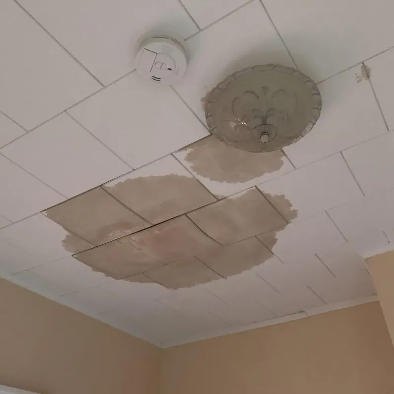 Ceiling Water Damage Repair in Linn County, IA