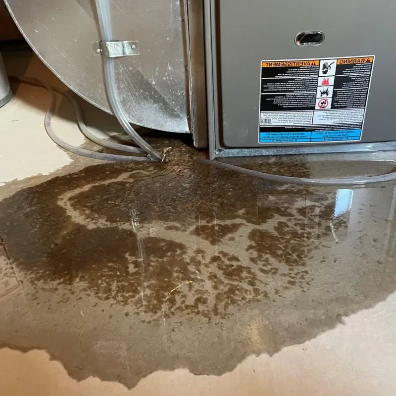 Pipe Burst and Leak Restoration in Linn County, IA