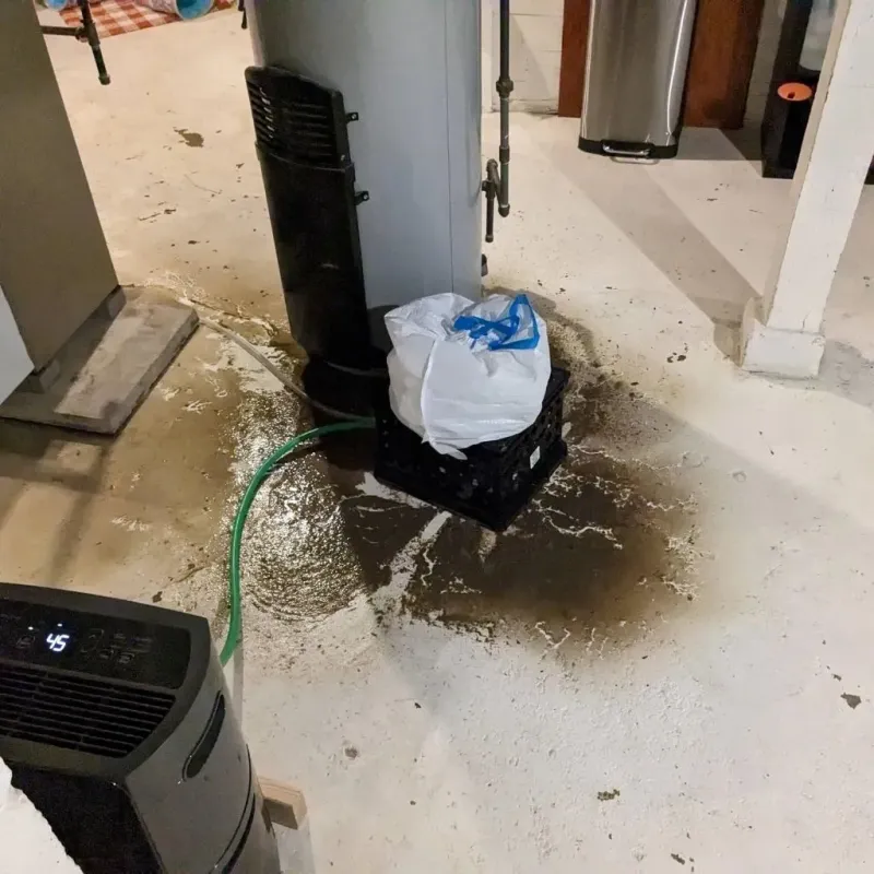 Sewage Backup Cleanup Service in Linn County, IA
